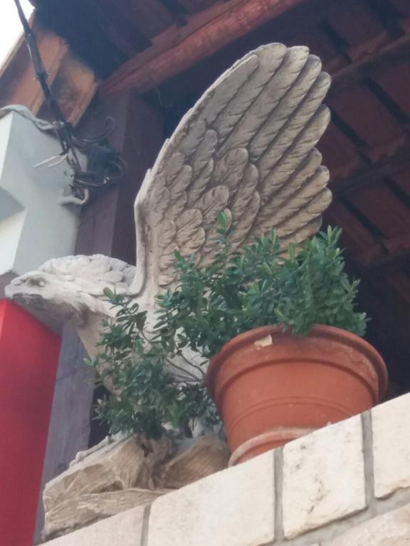 Apartments Nanut Σίμπενικ Εξωτερικό φωτογραφία